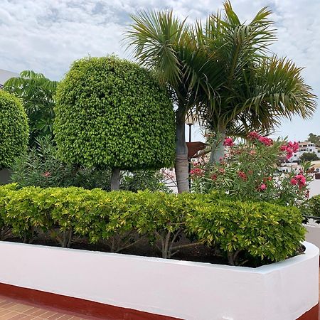 Ocean Breeze And Seaview Resort Costa Adeje  Bagian luar foto