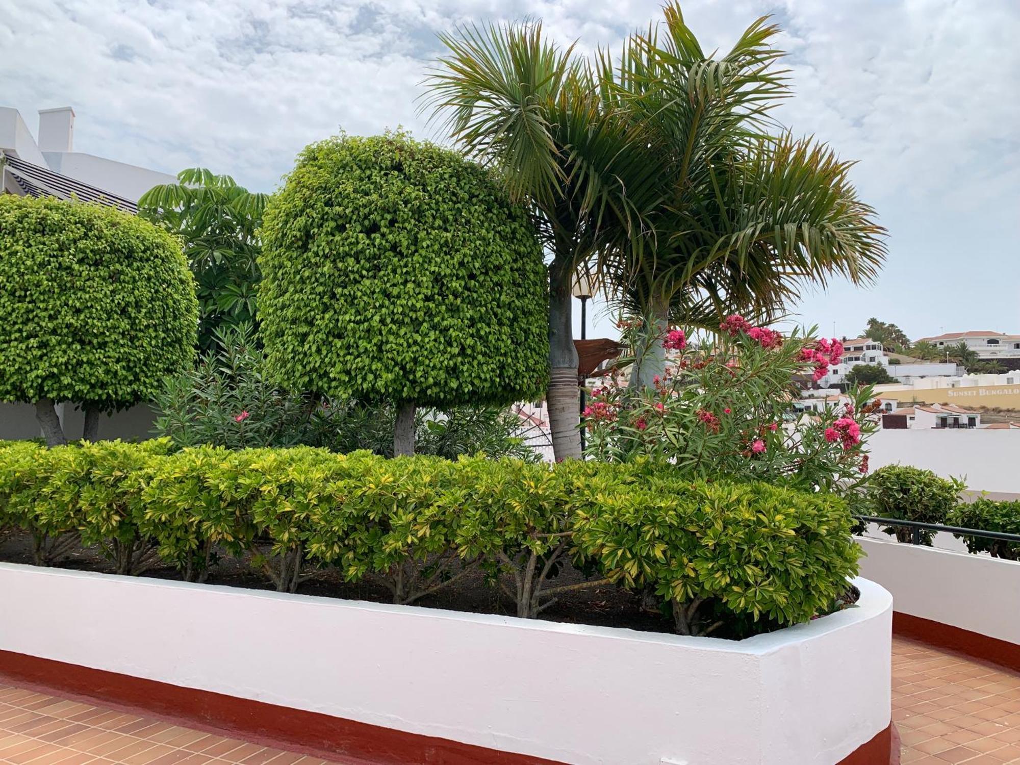 Ocean Breeze And Seaview Resort Costa Adeje  Bagian luar foto